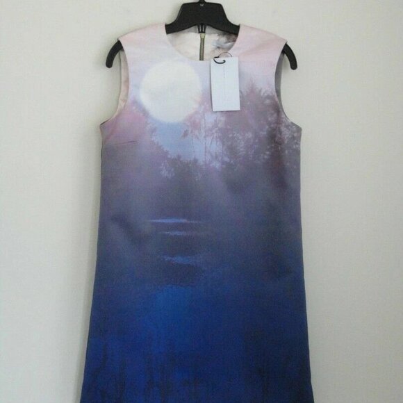 NWT VICTORIA BECKHAM Multi Color Sun Dream Dropped Hem Shift Dress 42/6 - Picture 6 of 7